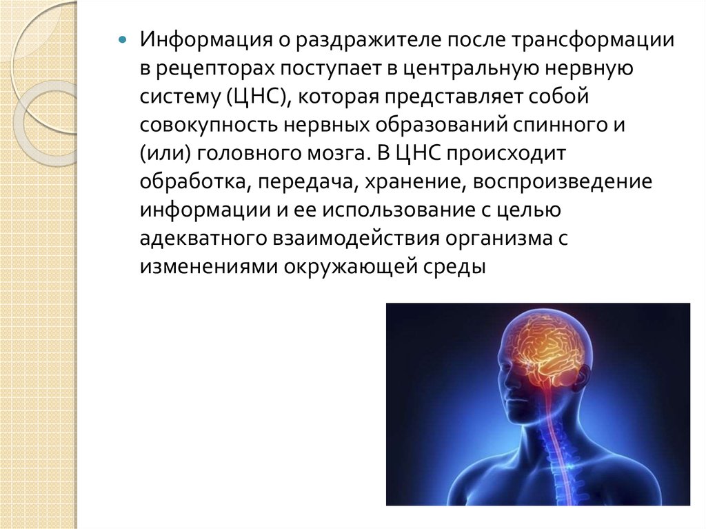 Сторона внутренней картины здоровья которая представляет совокупность