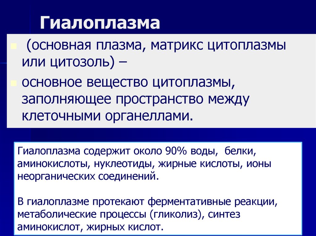 Протекает в цитоплазме. Гиалоплазма. Гиалоплазма участие в клеточном метаболизме. Матрикс цитоплазмы (гиалоплазма). Строение и функции гиалоплазмы.