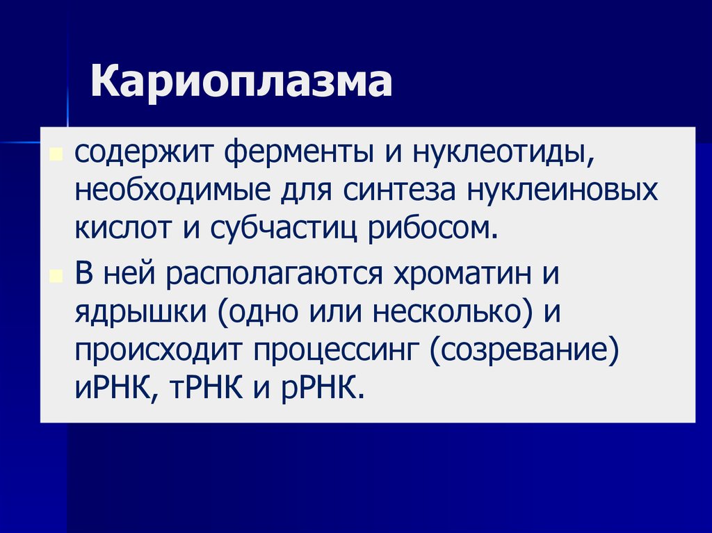 Кариоплазма. Нуклеоплазма строение. Структура кариоплазмы. Нуклеоплазма и кариоплазма.