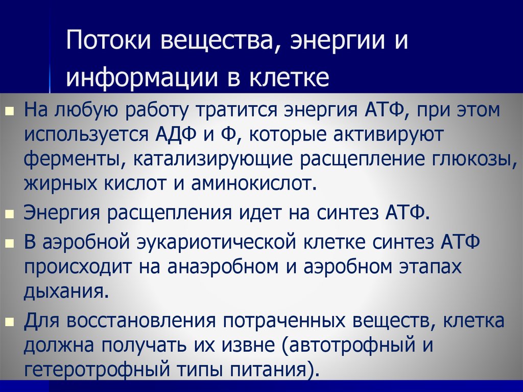 Энергия и информация. Поток вещества и энергии в клетке. Поток информации в клетке. Организация потока информации в клетке. Энергии и информации в клетке..