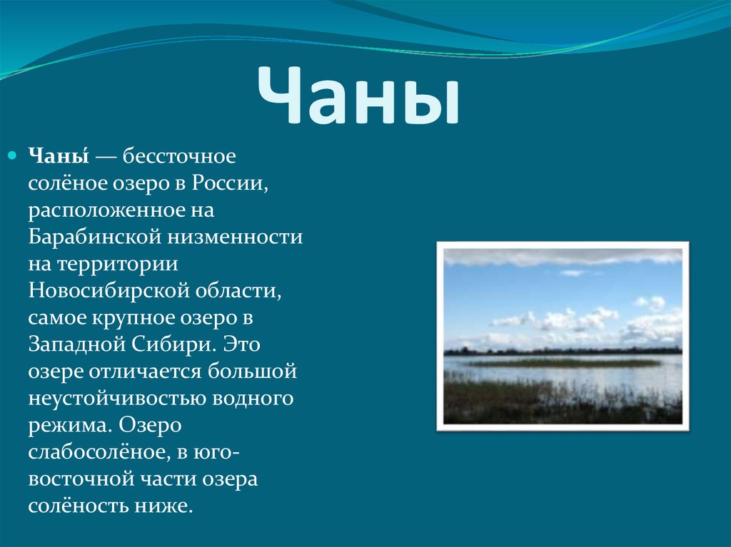 Почему бессточные озера соленые. Солёное бессточное озеро Чаны;. Озеро Чаны.