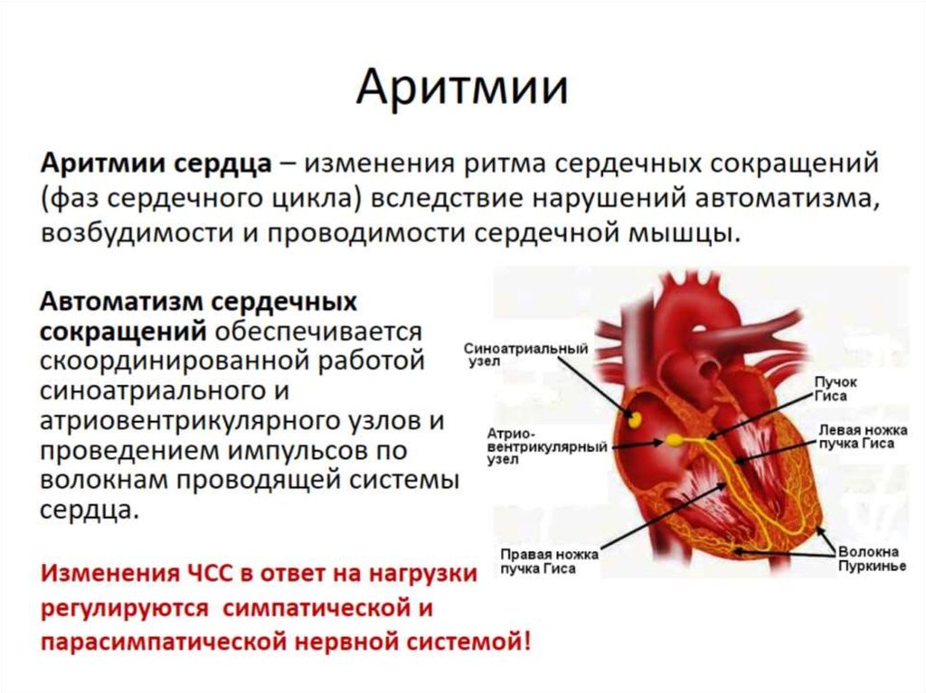 Какие симптомы проблем с сердцем. Патология сердечно сосудистой системы схема. Заболевания сердца названия. Болезни сердца список названий.