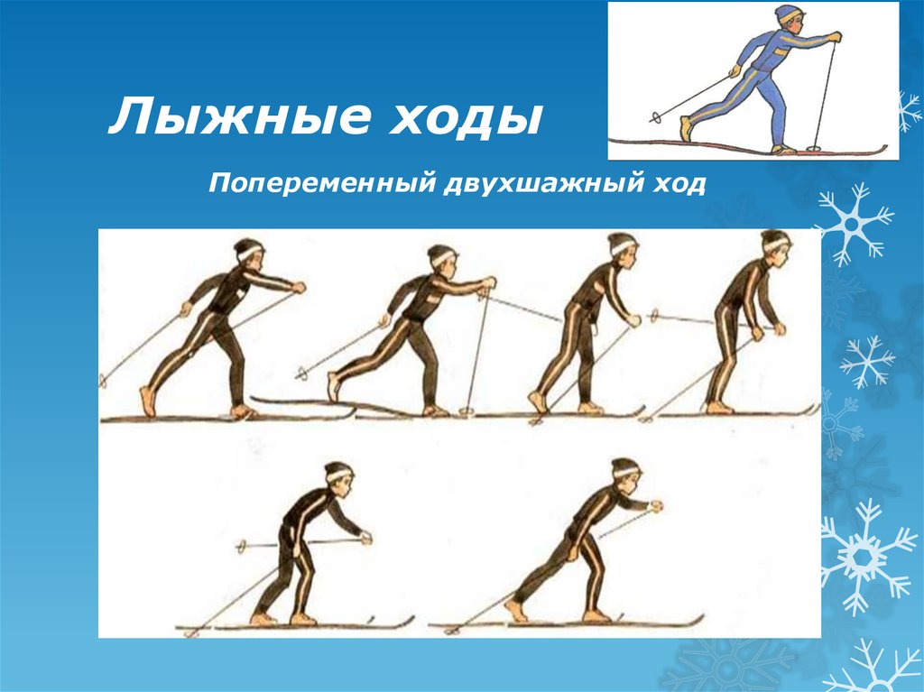 Какой ход передвижения на лыжах появился раньше. Классический лыжный ход схема. Виды лыжных ходов. Классические лыжные ходы. Техника классических лыжных ходов.