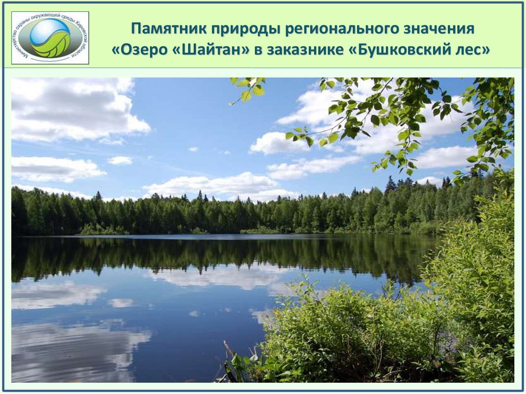 Памятник природы регионального значения «Озеро «Шайтан» в заказнике «Бушковский лес»