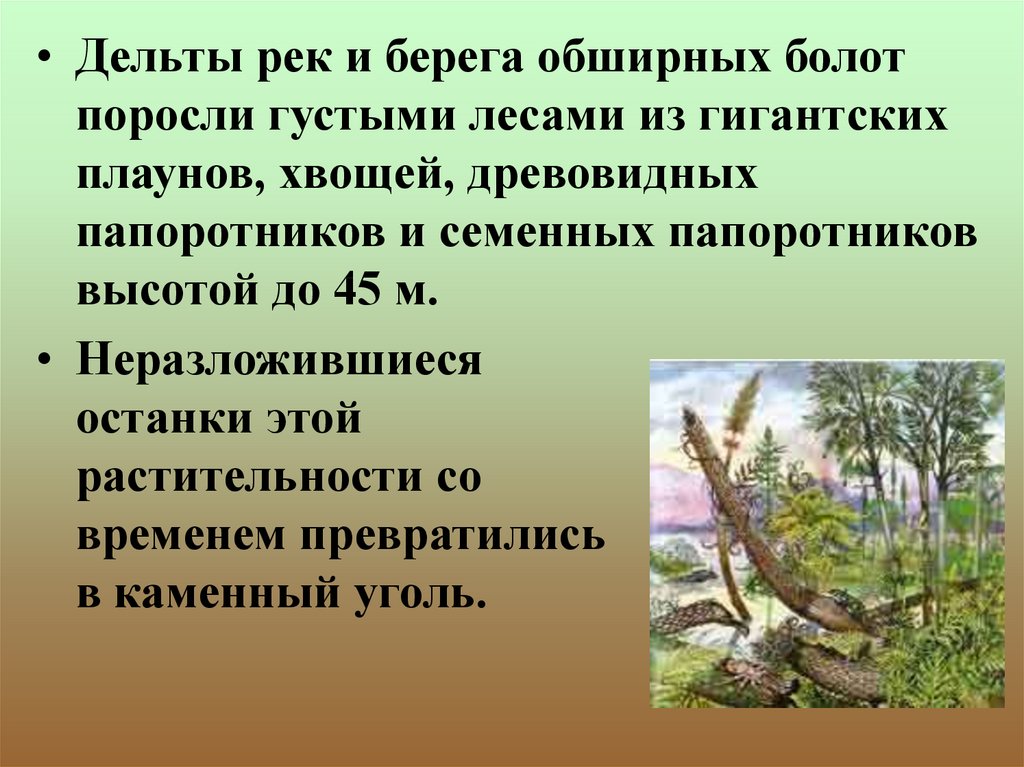 Историческое развитие растительного мира 6 класс презентация пономарева