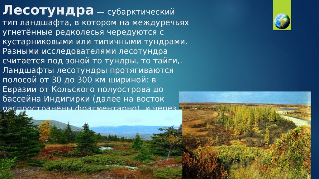 Характеристика тундры в россии. Рельеф природной зоны тундра. Тундра лесотундра тундрово-глеевые. Зоны тундра Тайга. Тундра и лесотундра презентация.