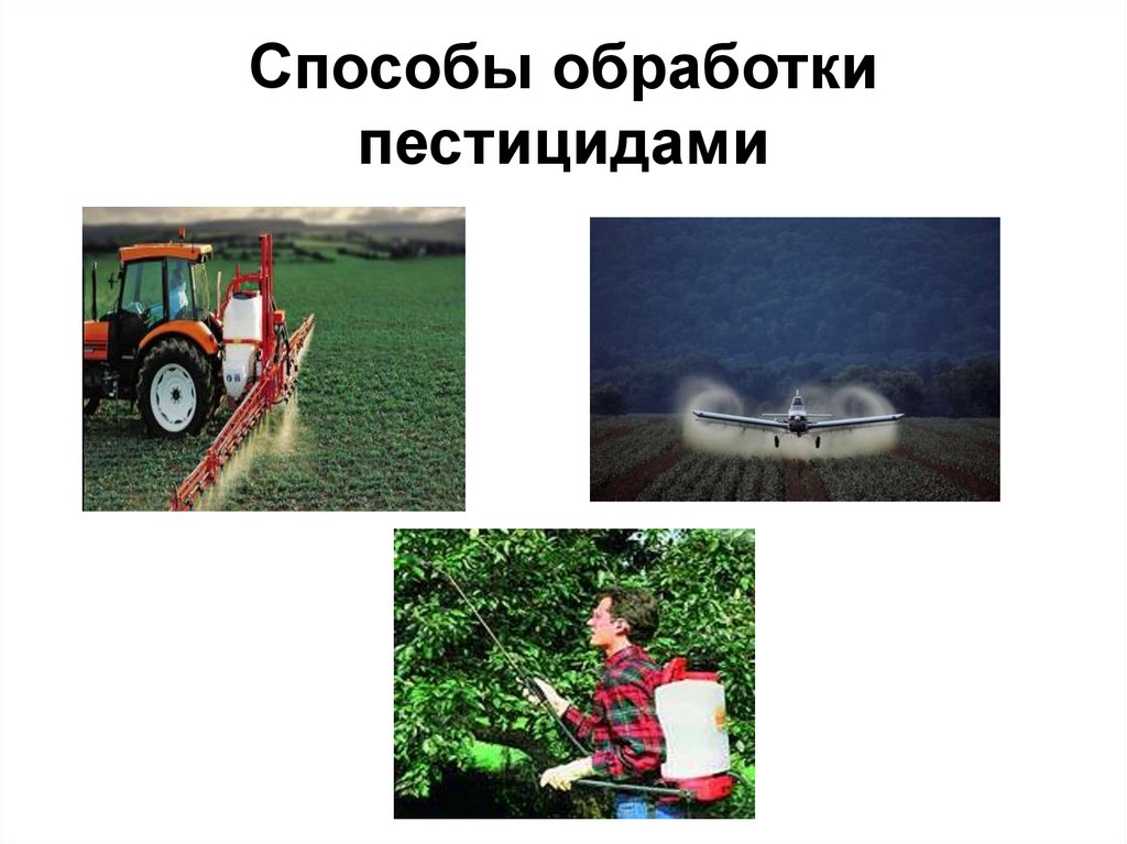 Пестициды приводят к. Способы обработки пестицидами. Пестициды и гербициды. Химикаты в сельском хозяйстве. Влияние пестицидов.