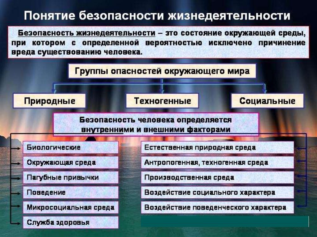 Основные подходы и принципы обеспечения безопасности объектов в среде жизнедеятельности презентация