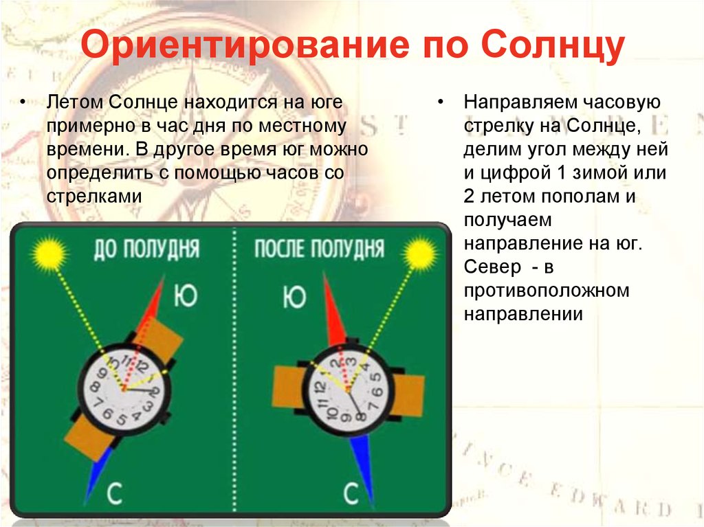 Часы определяющие местоположение. Ориентирование с помощью часов и солнца. Ориентирование без компаса по солнцу.
