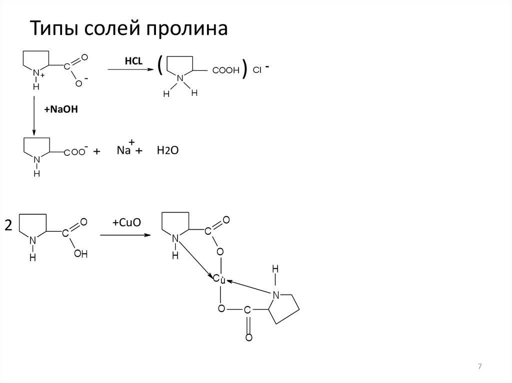 Дипептид глицина гидролиз