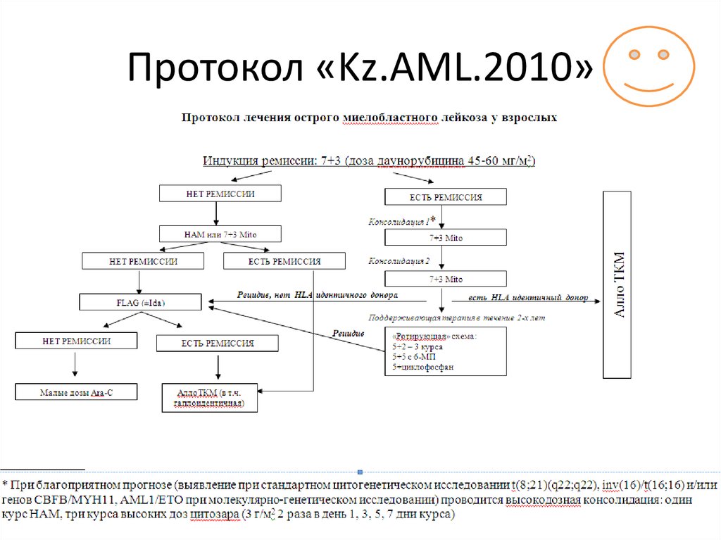 Протокола кз