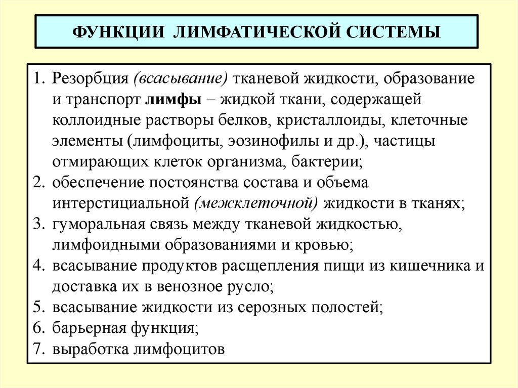 Функции лимфатической системы. Функции лимфатической стмтпмы. Функции лимфатической систеи. Лимфатичскаясистема функции.