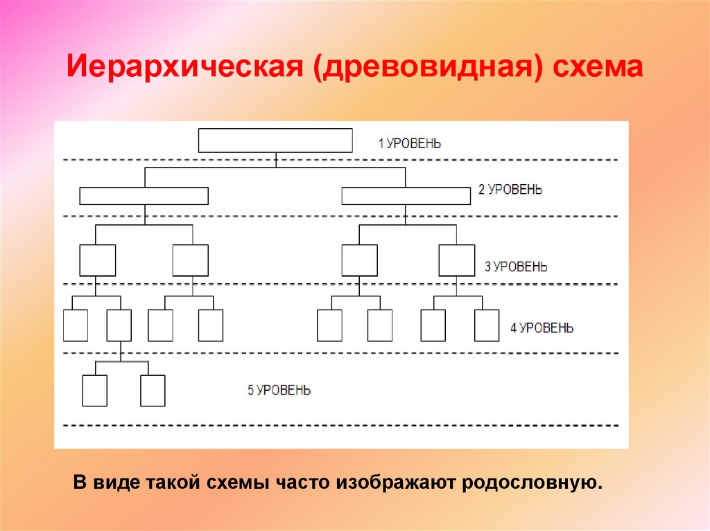 Информационную модель родословной часто представляют в виде таблицы дерева сети плана