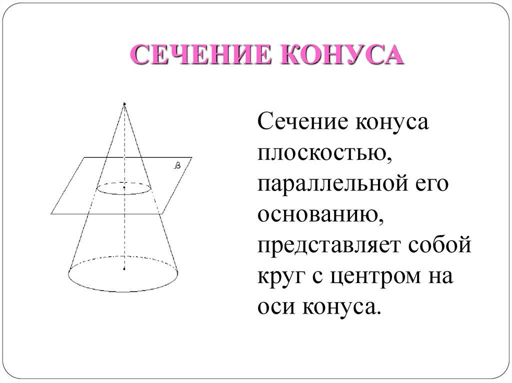 4 сечения конуса. Конус сечения конуса плоскостями. Сечение конуса плоскостью параллельной основанию. Сечение конуса непараллельное основанию. Сечение конуса параллельно основанию.