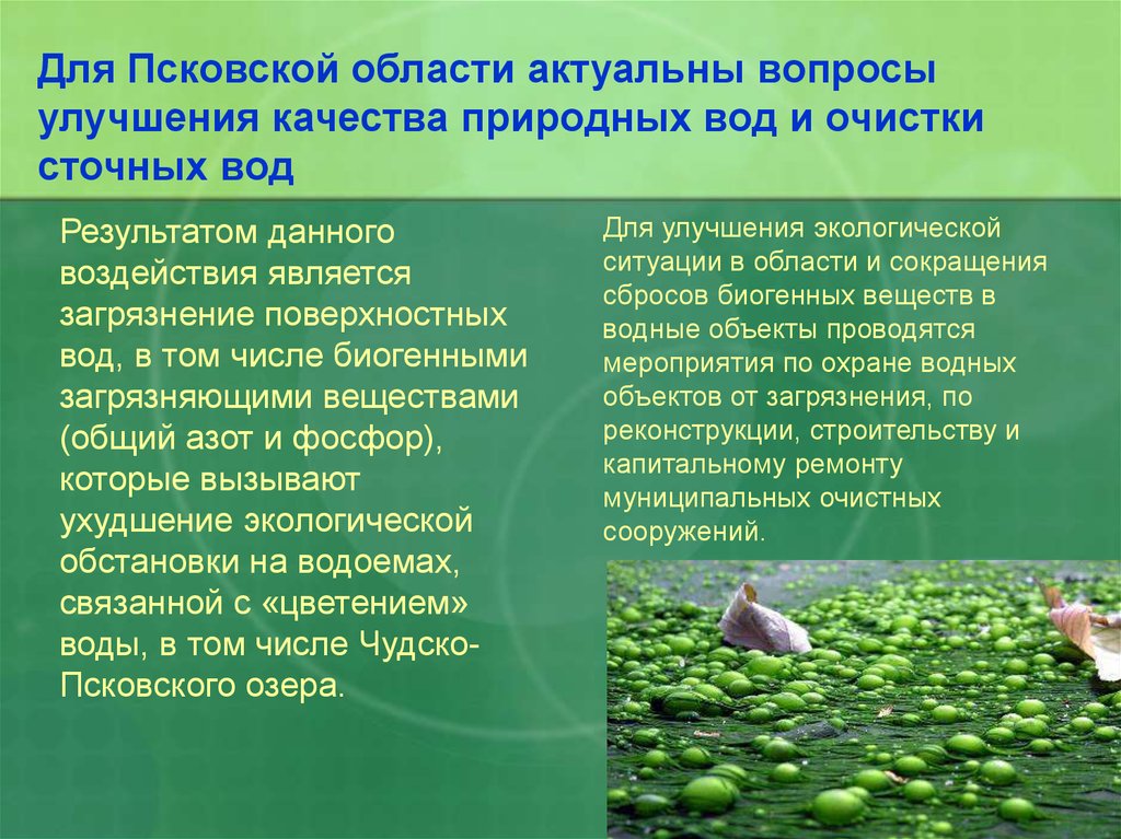Для Псковской области актуальны вопросы улучшения качества природных вод и очистки сточных вод