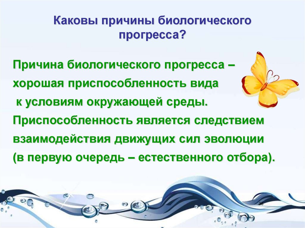 Почему прогресс. Причины биологического прогресса. Каковы причины биологического прогресса. Главные направления эволюции органического мира влияние человека. Причины биологичческогопрогресса.