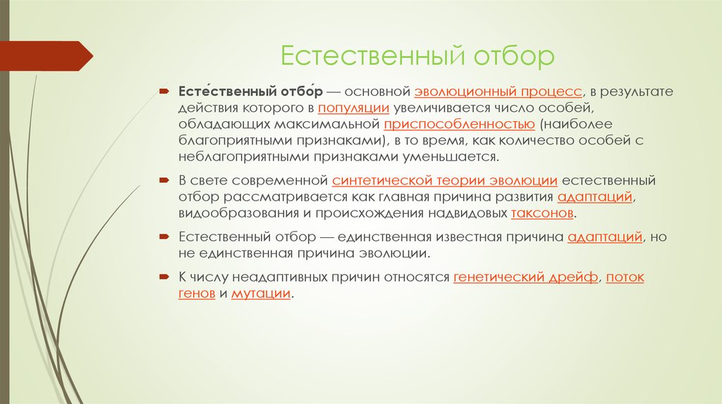 Направляющий естественный отбор. Результат естественного отбора. Основные Результаты естественного отбора.