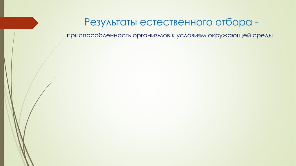 Естественный результат. Результат естественного отбора. Появление в результате естественного отбора.