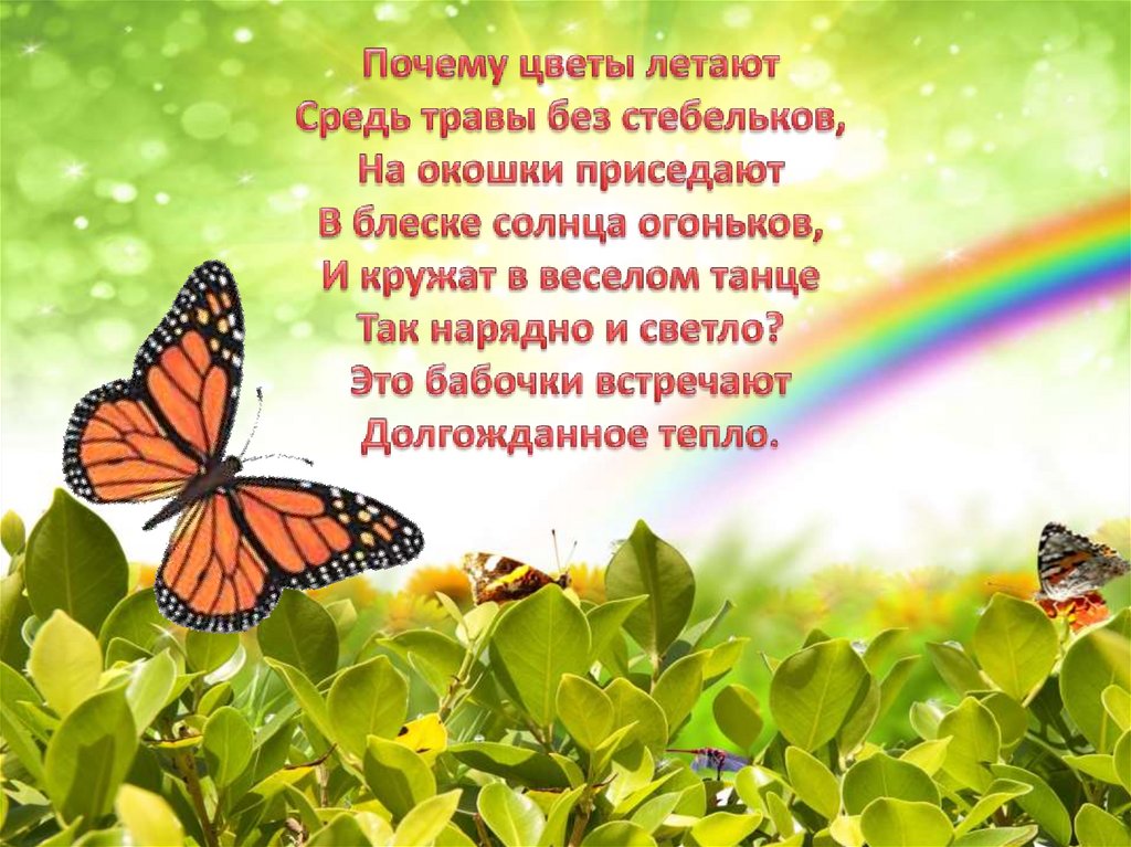 Тихо бабочки летают. Слайды бабочки. Солнышко и бабочки. Солнышко бабочки бабочки солнышко. Бабочка» спал цветок.
