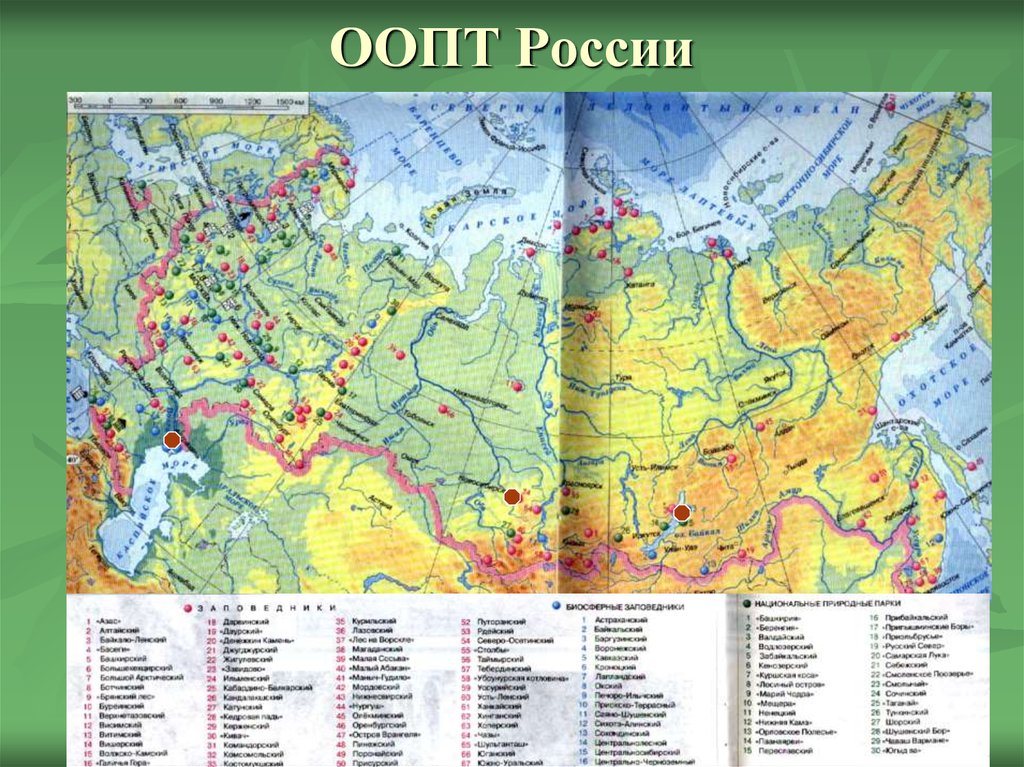 География 8 класс особо охраняемые территории россии