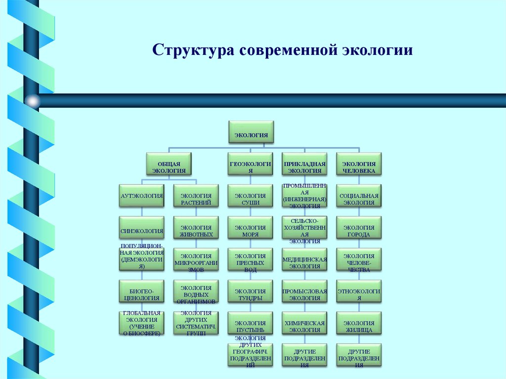 Структура современной. Структура и задачи современной экологии. Структура современной семьи схема. Структура нынешней экологи. Современная иерархия.