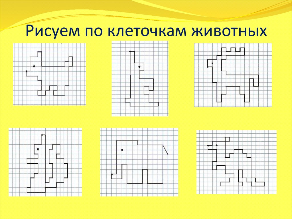 Рисунок по клеткам математика