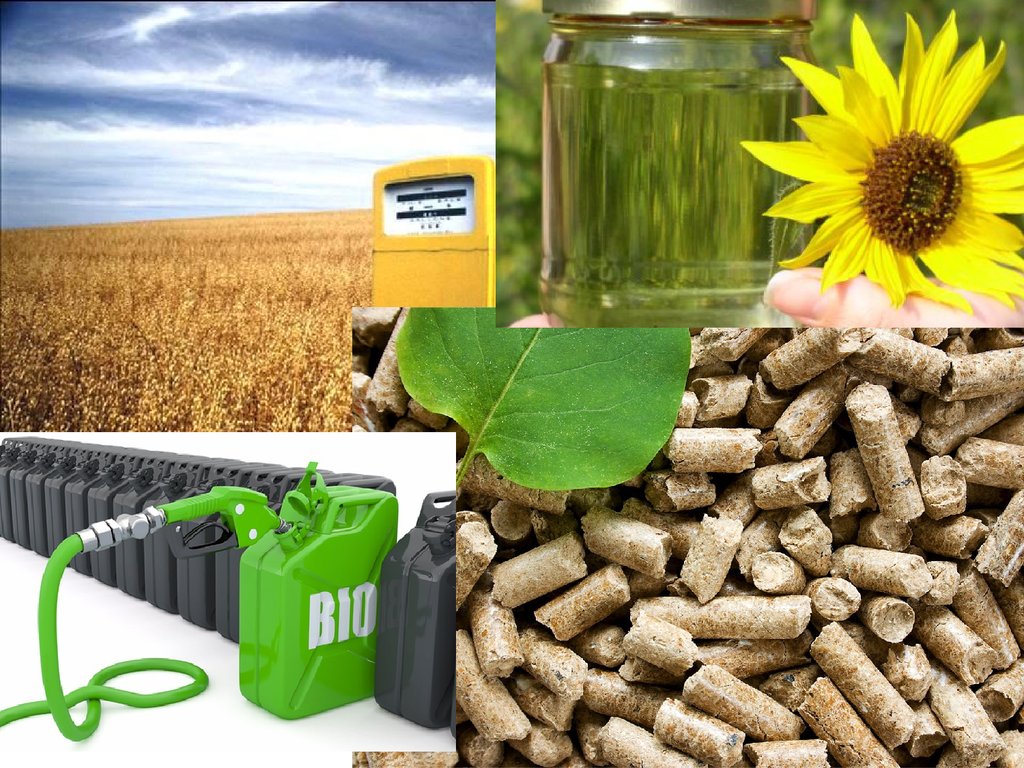 Что используют в качестве топлива. Биотопливо( с13н24). Биодизель биоэтанол. Жидкое биотопливо биодизель. Биотопливо твердое жидкое газообразное.