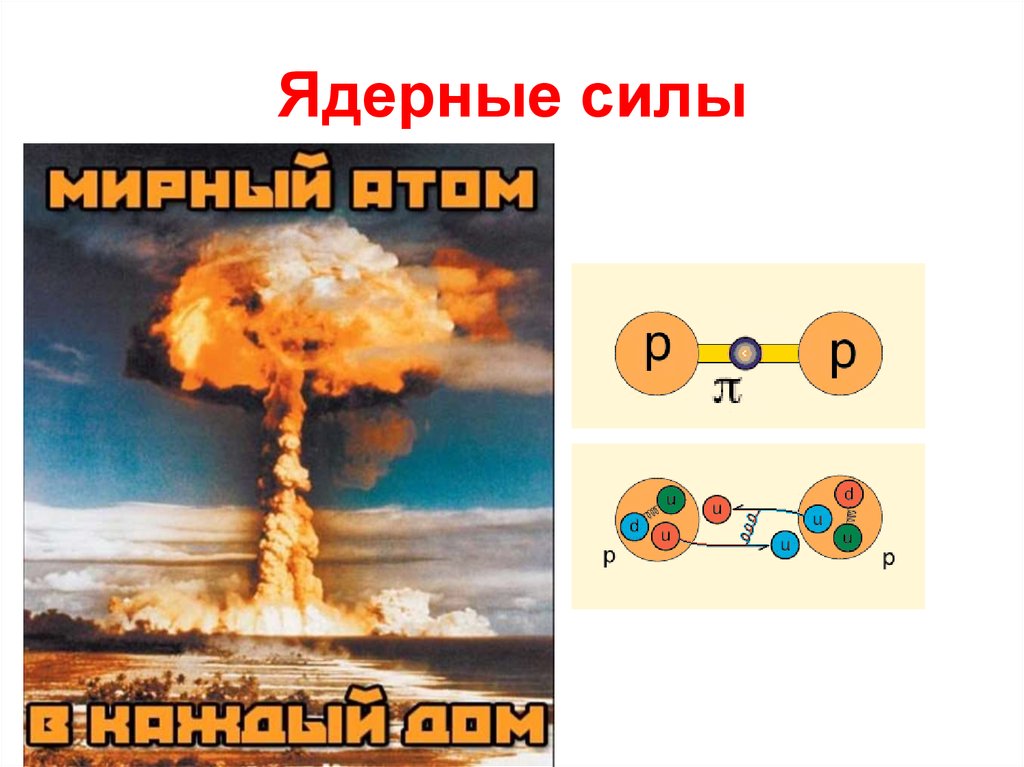 Ядерные силы являются. Ядерные силы. Ядерные силы презентация. Ядерные силы это в физике. Ядерные силы картинки.