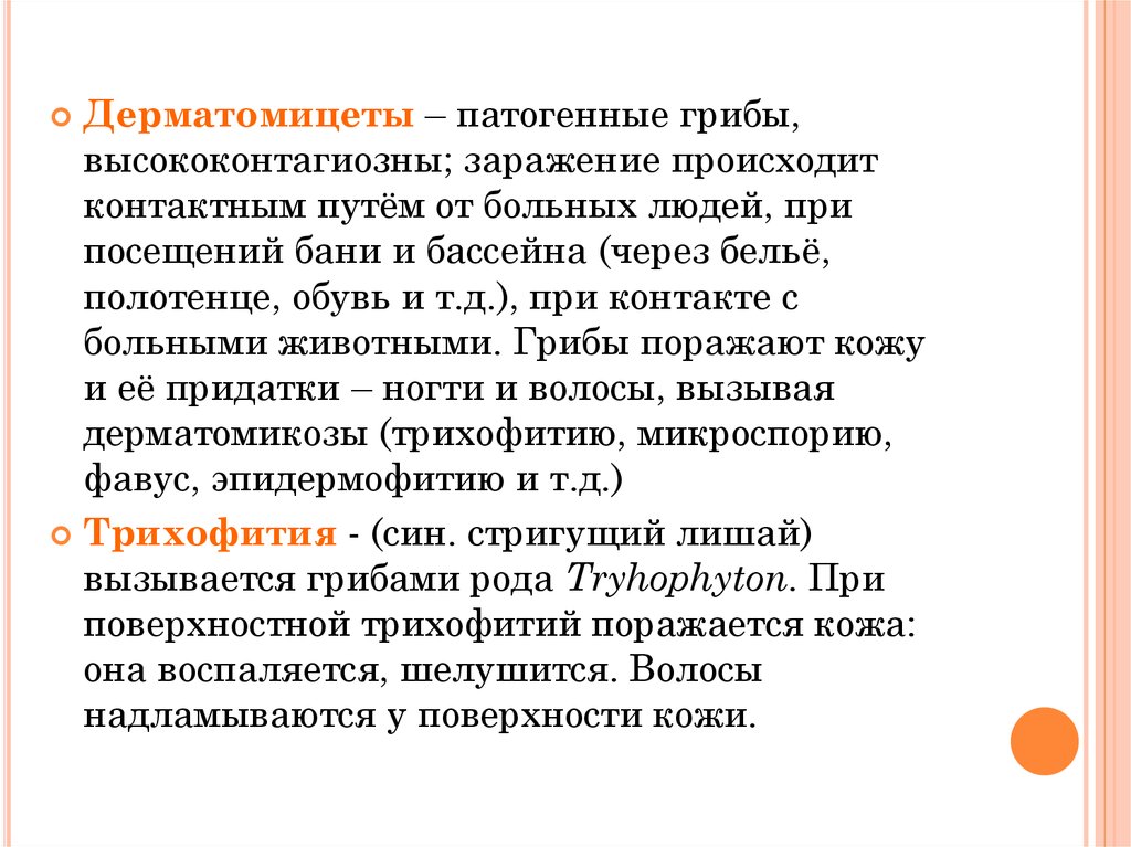 Патогенные грибы. Патогенные дерматомицеты. Патогенные грибы презентация. Дерматомицеты микробиология.