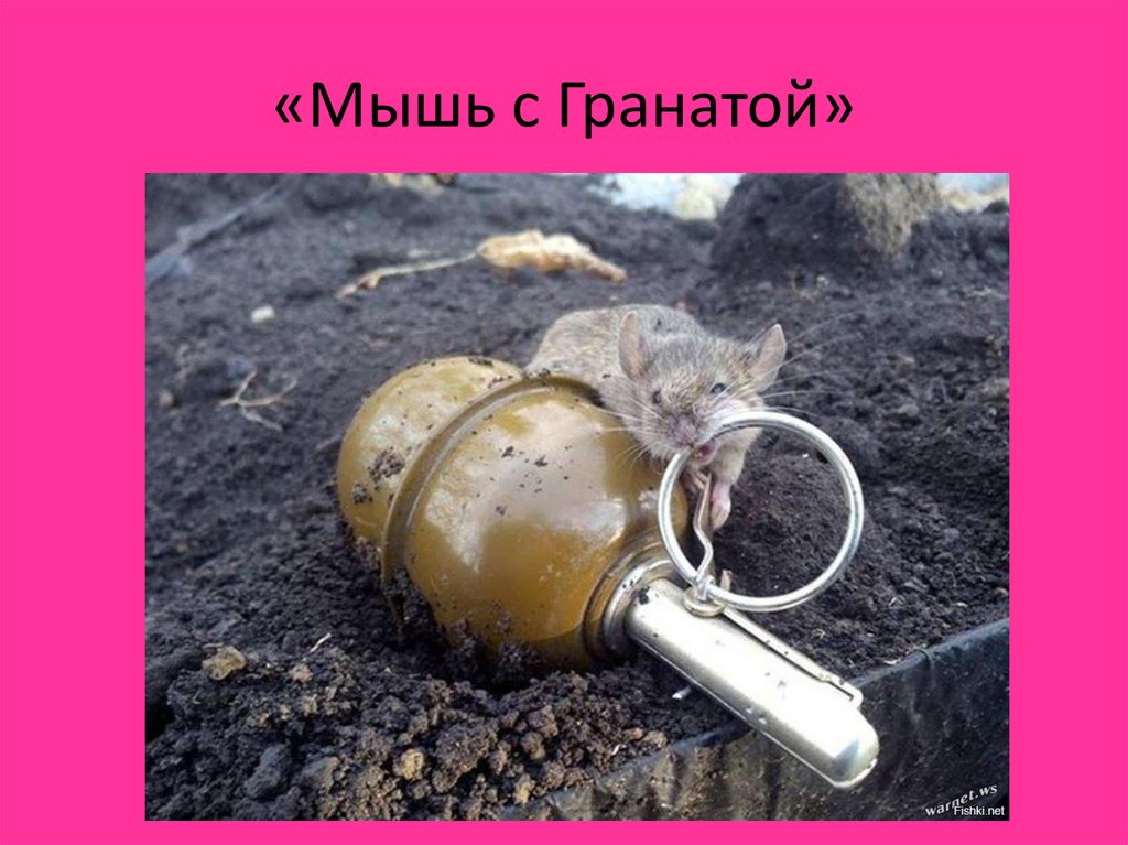 «Мышь с Гранатой»