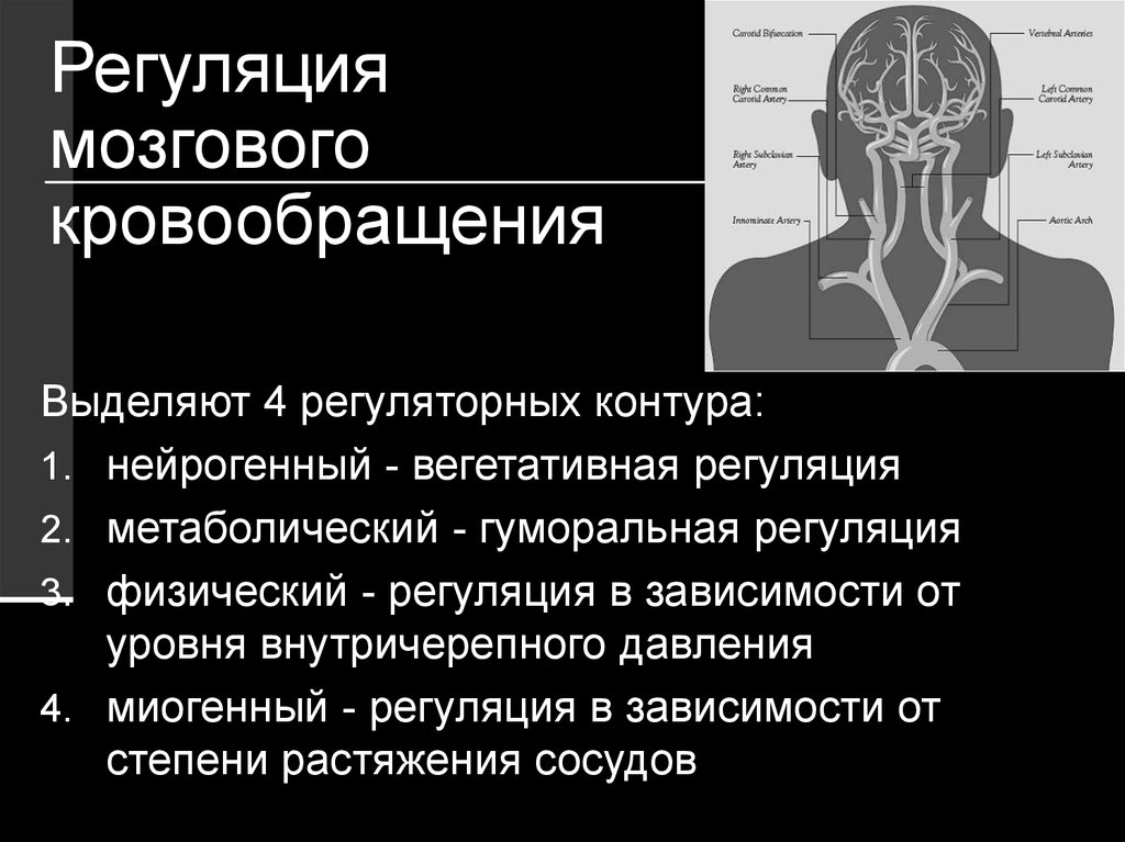 Мозговой кровоток. Механизмы регуляции мозгового кровообращения. Особенности регуляции мозгового кровотока. Основные уровни автономной регуляции кровотока в мозге. Регуляция мозгового кровотока ауторегуляция.