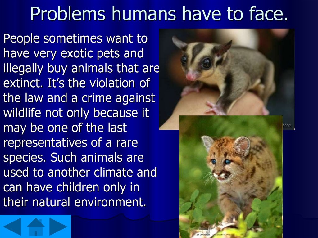 Problems humans have to face.