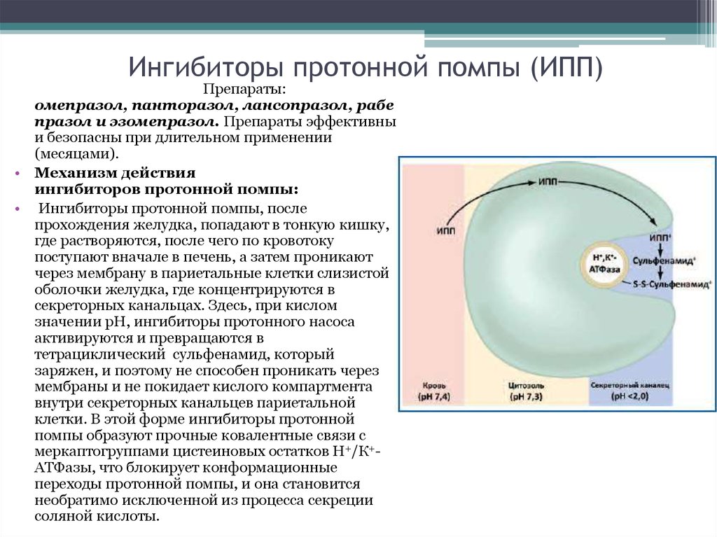 Омепразол с антибиотиками схема