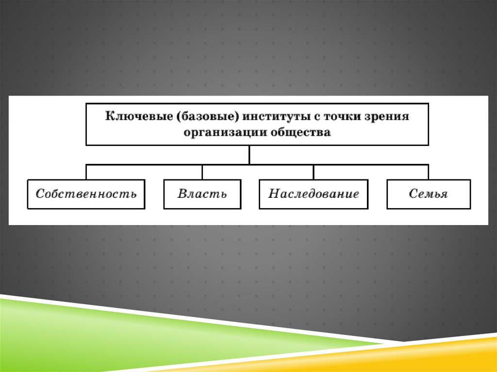 Социальные институты и организации