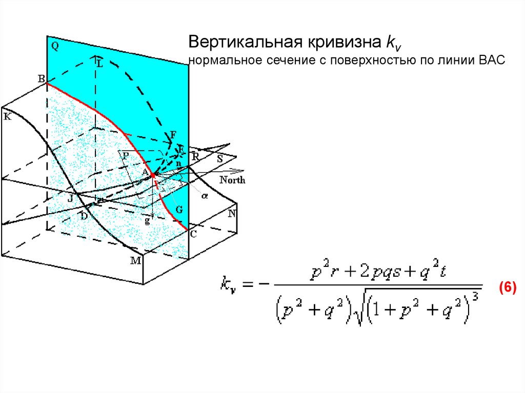 Нормальное сечение. Главные нормальные сечения.