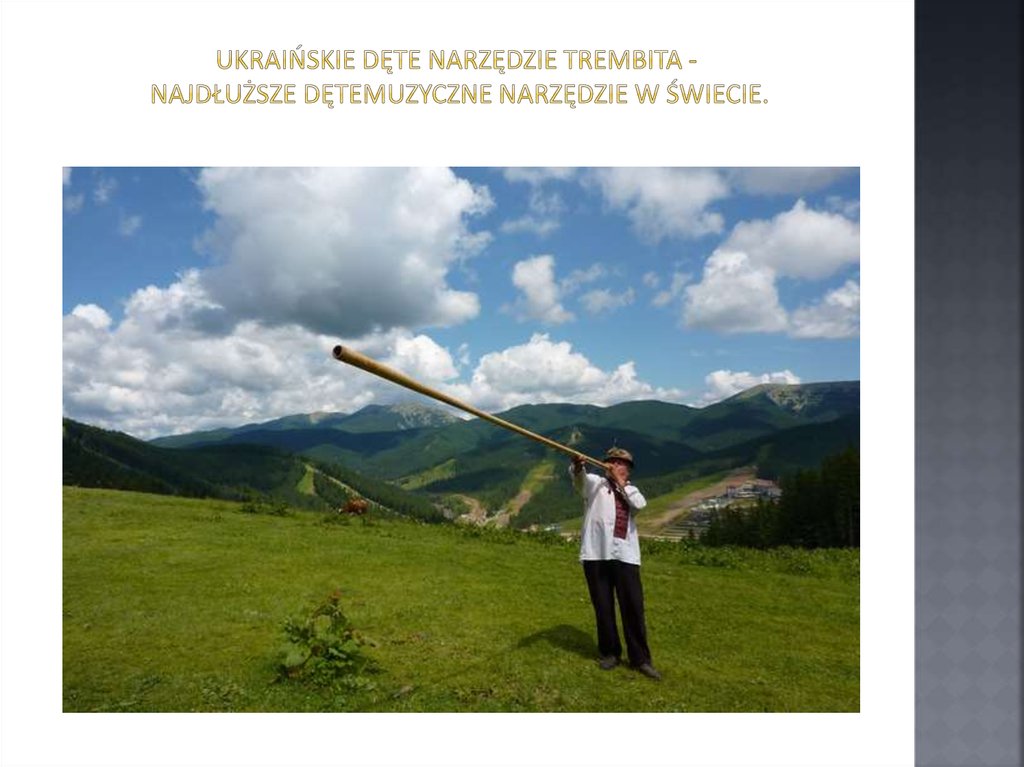 Ukraińskie dęte narzędzie trembita - najdłuższe dętemuzyczne narzędzie w świecie.