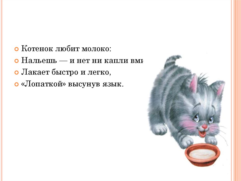 Предложи кота