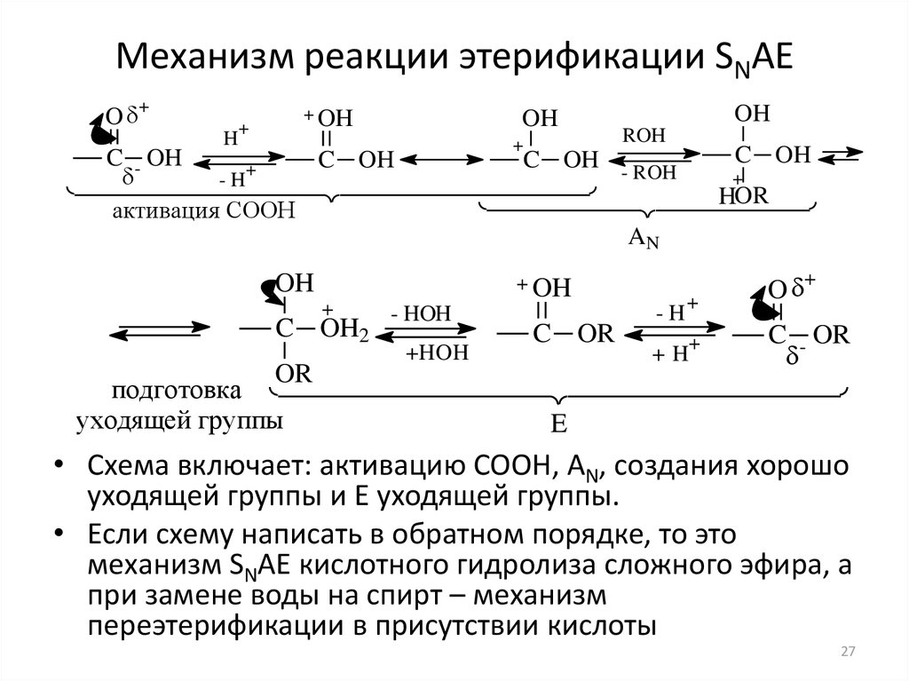 Реакция этерификации уксусной кислоты с этанолом