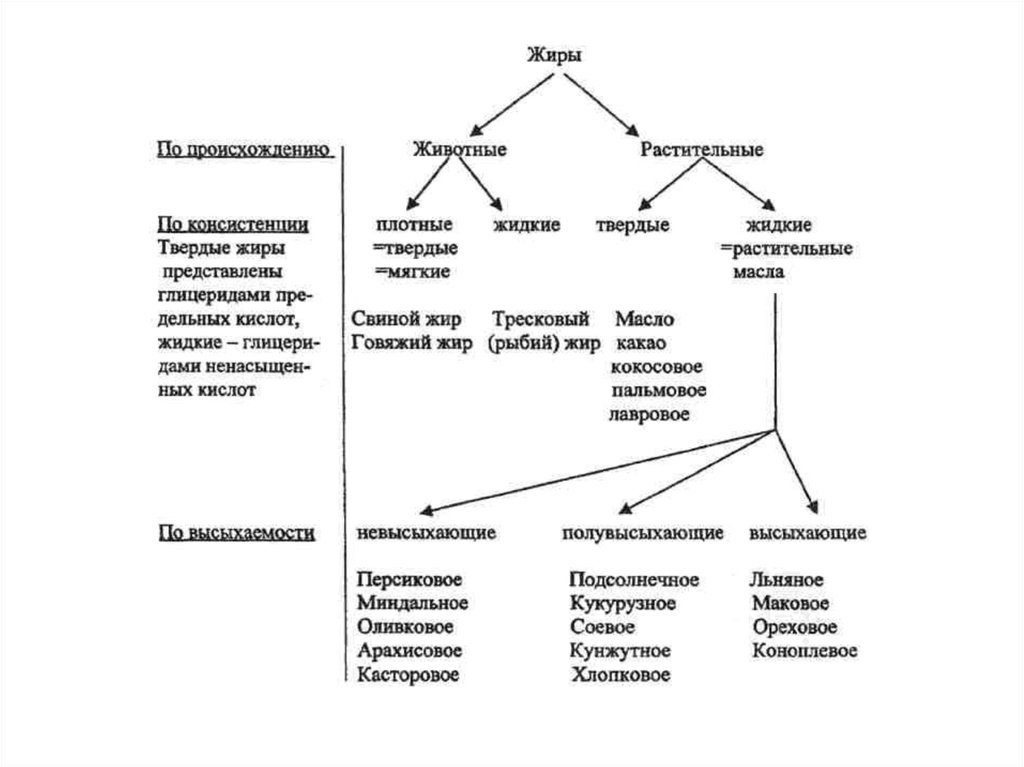 Пищевые жиры схема