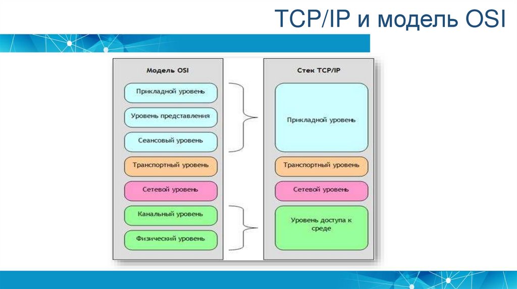 1 типы адресов используемые в стеке tcp ip их назначение и применяемые схемы адресации