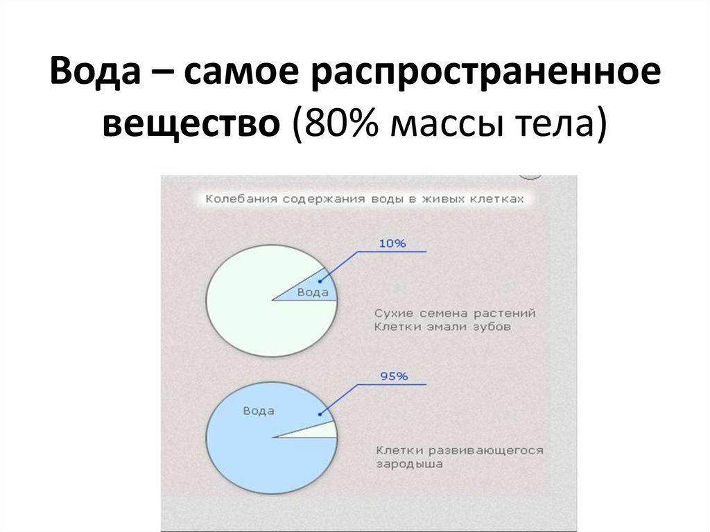 Вещество а содержит по массе. Самое распространенное вещество.