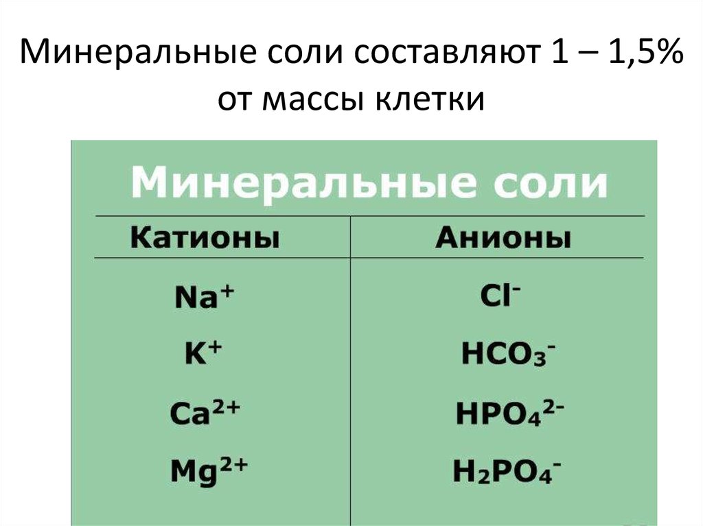 Масса клетки