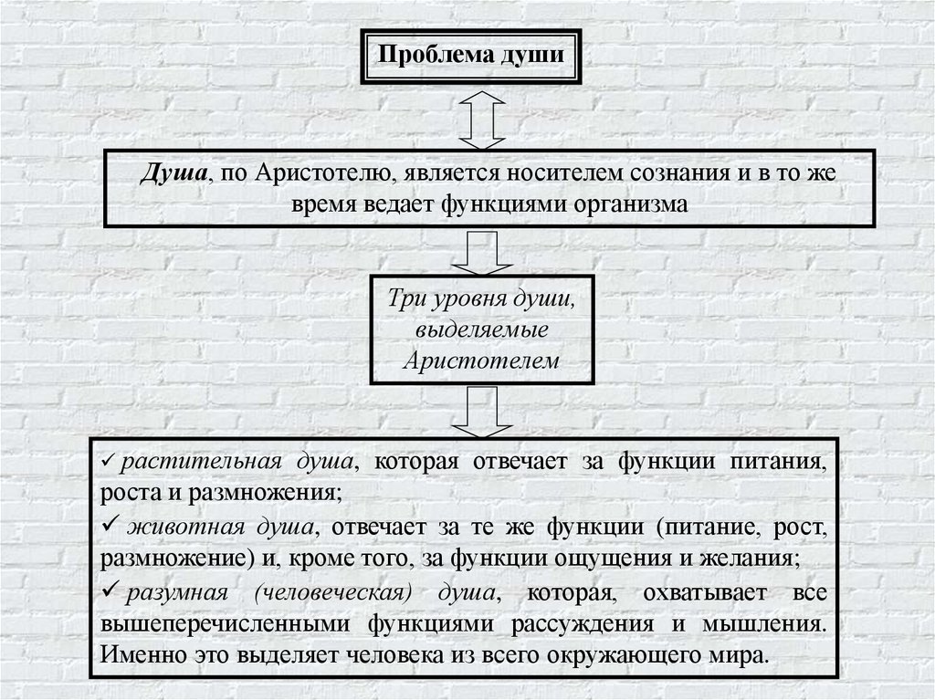 Философия аристотеля материя и форма. Проблемы философии Аристотеля. Проблема материи Аристотеля. Философия Аристотеля душа. Аристотель выделял следующие уровни души:.