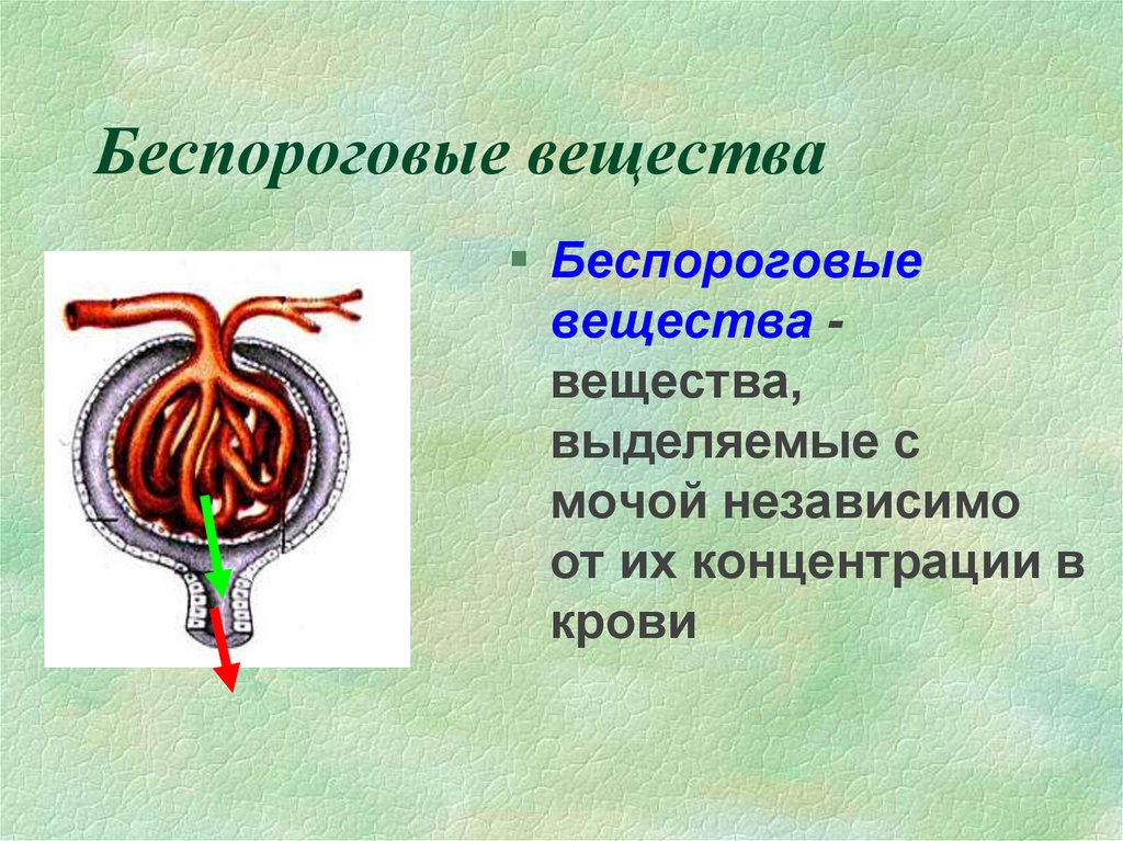 Вещества выделяющие. Пороговые и беспороговые вещества. Пороговые вещества почки. Функции мочеобразования. Беспороговые вещества в моче.