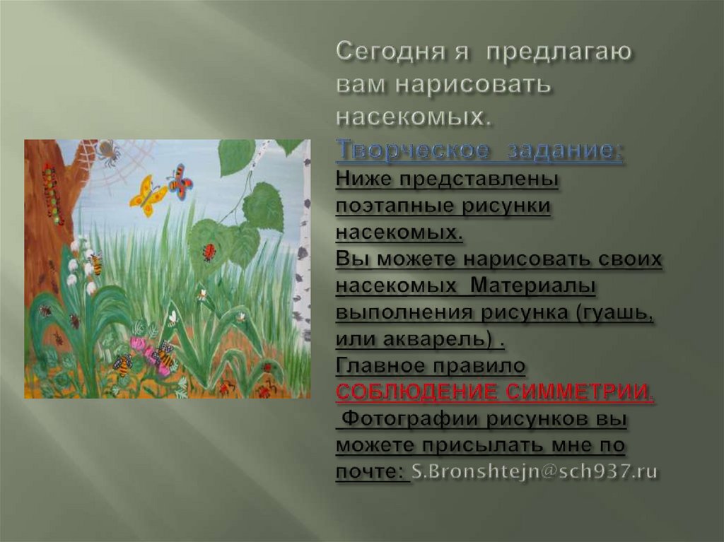 Сегодня я предлагаю вам нарисовать насекомых. Творческое задание: Ниже представлены поэтапные рисунки насекомых. Вы можете