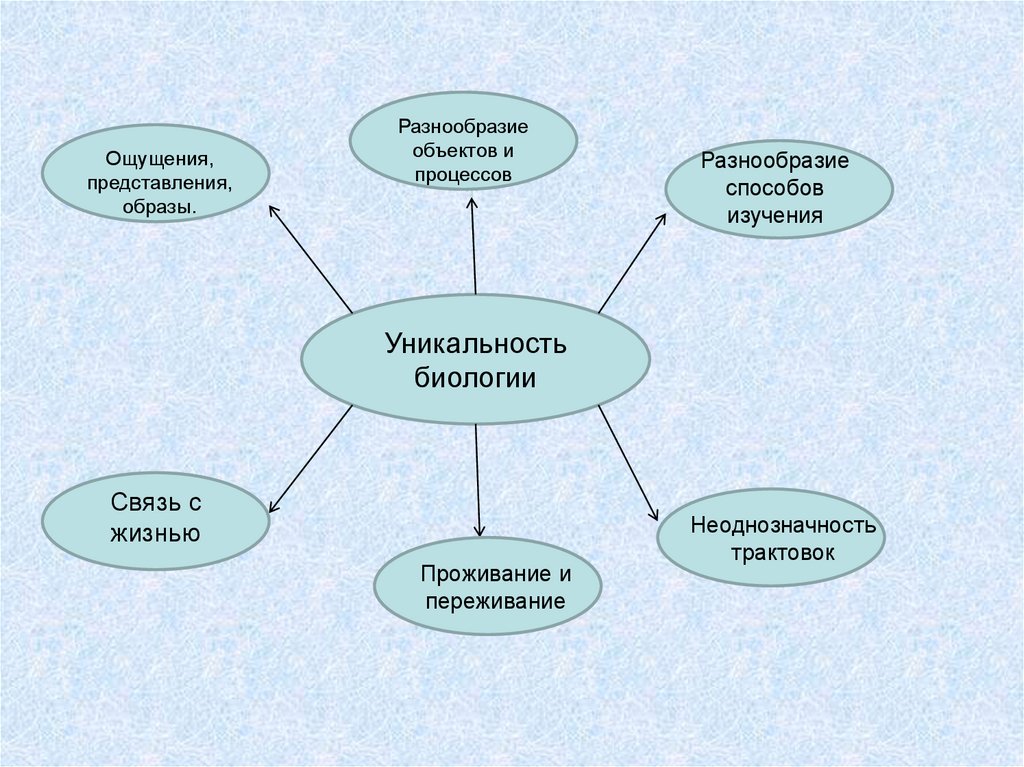 Многообразие образов