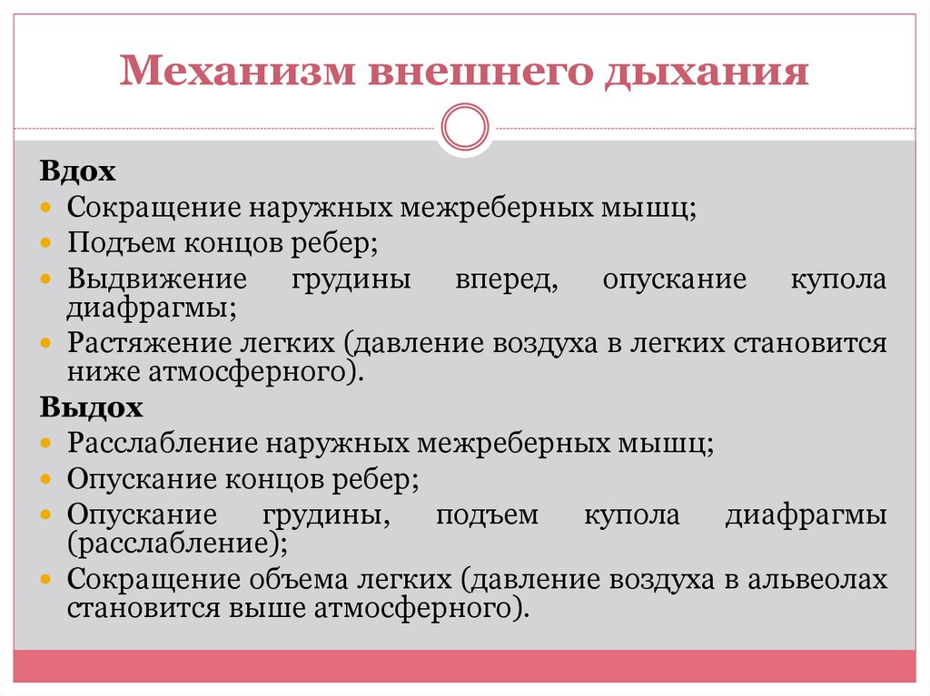 Словесная схема механизма дыхания