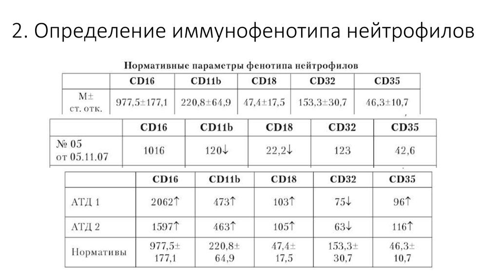 Фенотип третьей группы крови. Мембранный фенотип нейтрофилов. Иммунофенотип нейтрофилов. Метод иммунофенотипирования. Иммунофенотипирование лейкоцитов.