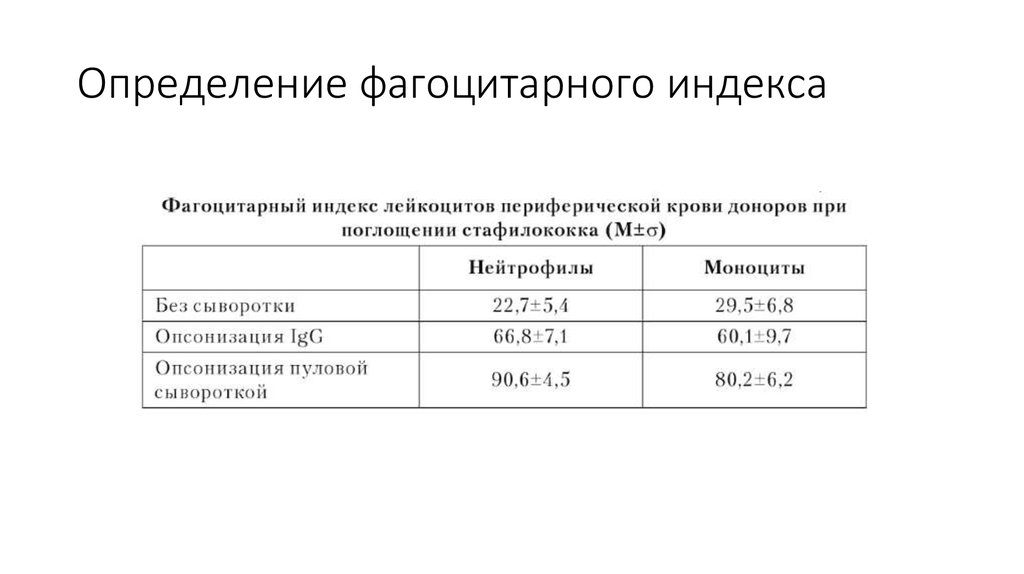 Фагоцитарная активность лейкоцитов