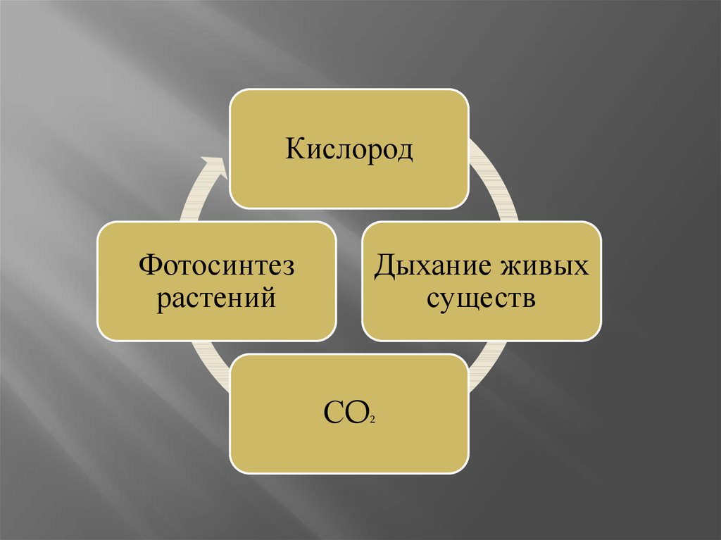 Технология 10 класс